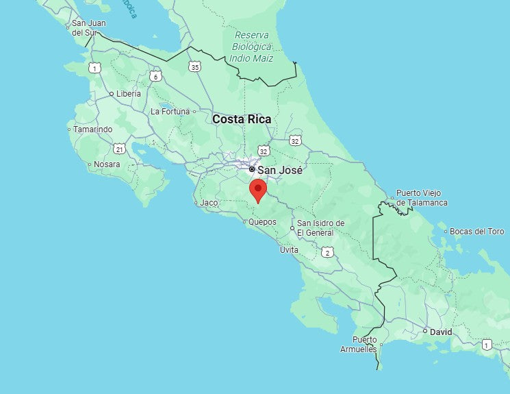 Costa Rica Terrazu (Medium-Light Roast)